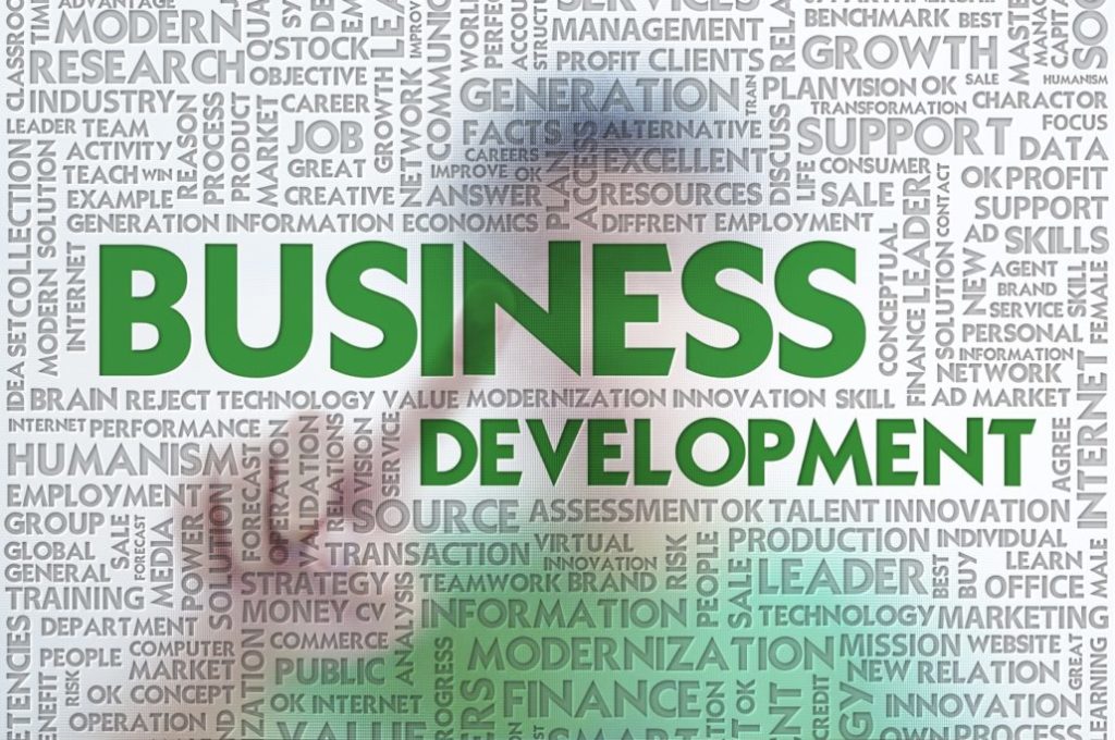 Why is Business development Source important?
