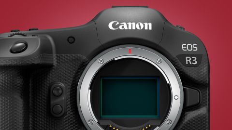 Canon EOS R3 will have track track for racing cars and motorbikes