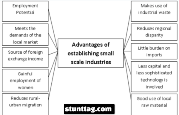 Advantages and Disadvantages of Small Scale Industries