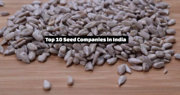 Top 10 Seed Companies in India