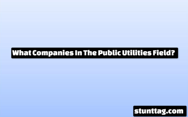 What Companies In The Public Utilities Field?