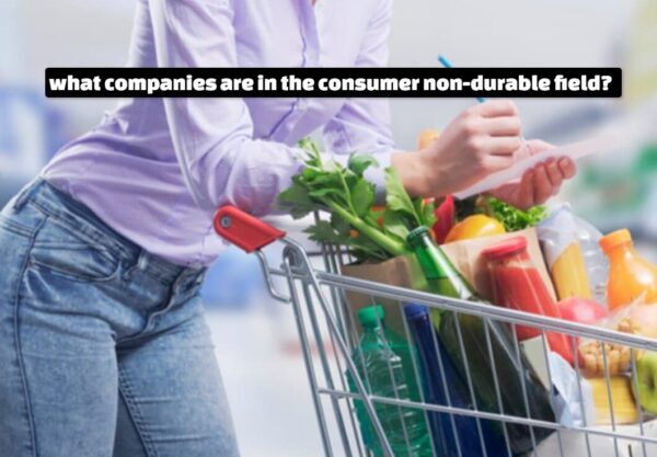 what companies are in the consumer non-durable field?