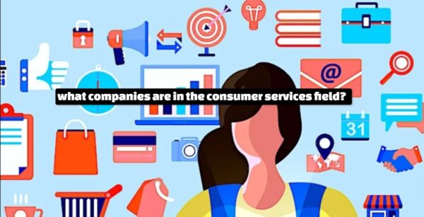 what companies are in the consumer services field